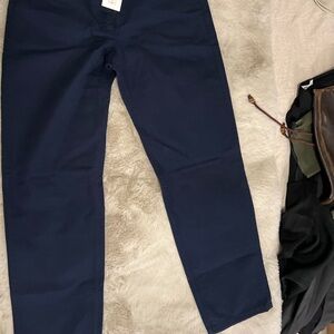 Aritzia Deep Blue Chinos